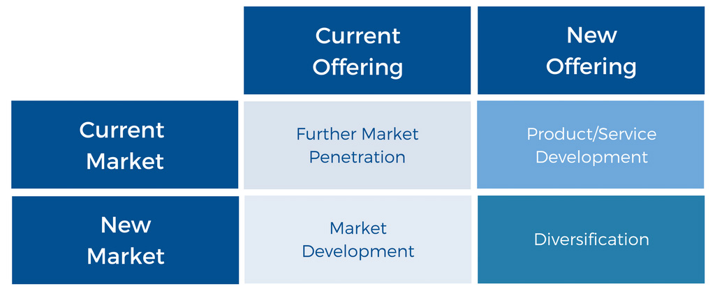 Choose a Growth Strategy