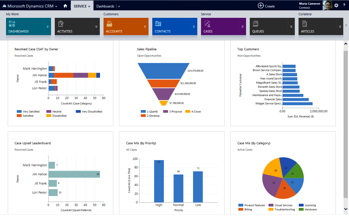 Microsoft Dynamics Customer Service